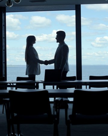 partners-silhouettes-shaking-hands-at-marine-view-2024-11-05-04-28-34-utc